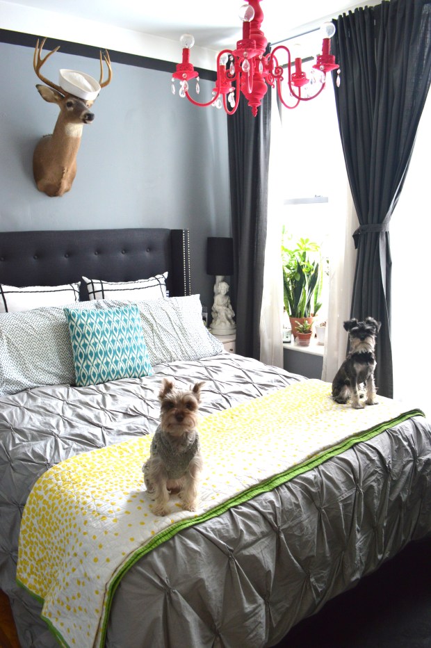 Bedroom and schnauzers | at home with Brooklyn Homemaker | Brooklyn Homemaker