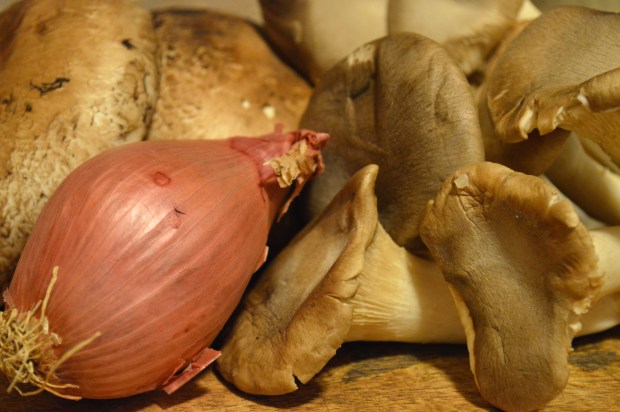 fettuccine with roasted mushrooms, brown butter & sage | Brooklyn Homemaker