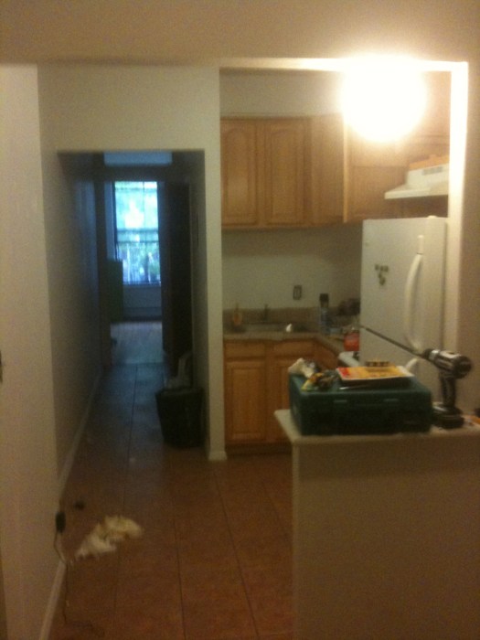 apartment before | Brooklyn Homemaker