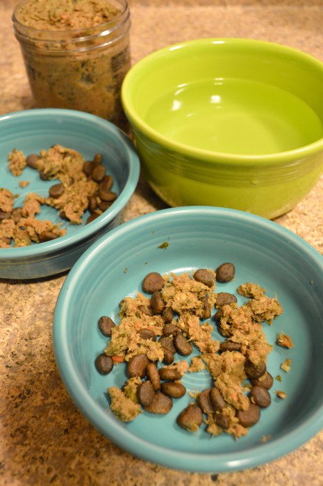 homemade dog food | Brooklyn Homemaker