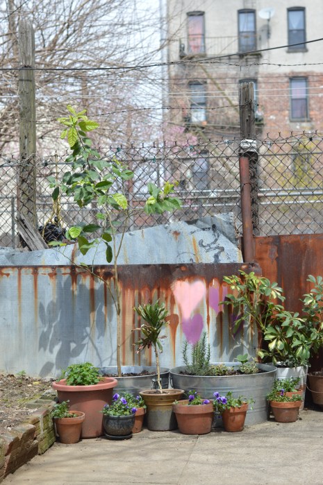 a little yarden tour | Brooklyn Homemaker