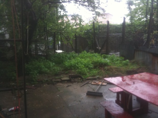 backyard "before" | Brooklyn Homemaker