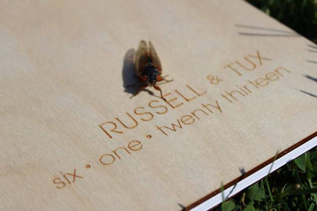 cicadas at wedding | Tuxedo & Russell's Hudson Valley June Wedding | Brooklyn Homemaker