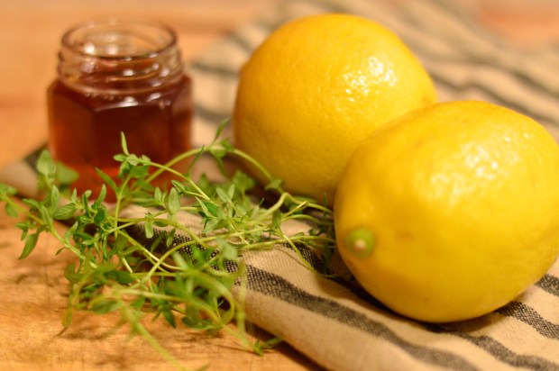 buttermilk ricotta ice pops with lemon, thyme, & honey | Brooklyn Homemaker