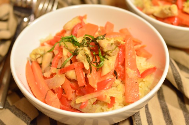 thai coconut green curry chicken thighs | Brooklyn Homemaker