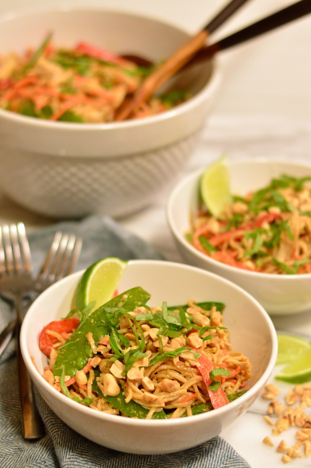 soba noodle and chicken salad with spicy peanut dressing | Brooklyn Homemaker