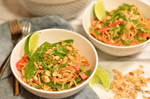 soba noodle and chicken salad with spicy peanut dressing | Brooklyn Homemaker