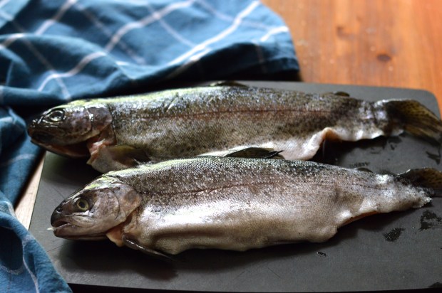 rainbow trout almondine | Brooklyn Homemaker
