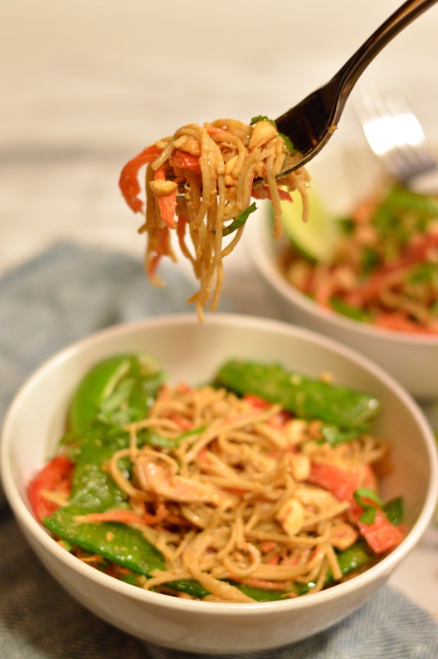 soba noodle and chicken salad with spicy peanut dressing | Brooklyn Homemaker