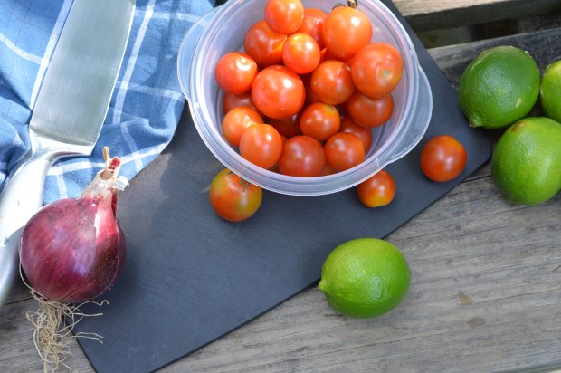 campfire grilled salmon with tomato mango salad | Brooklyn Homemaker
