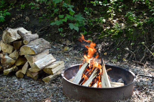 campfire grilled salmon with tomato mango salad | Brooklyn Homemaker