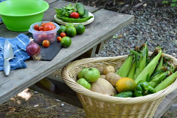 campfire grilled salmon with tomato mango salad | Brooklyn Homemaker