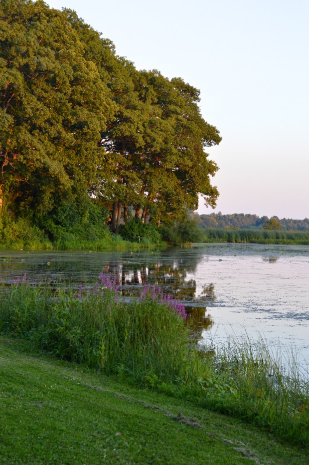 Brooklyn Homemaker goes camping!