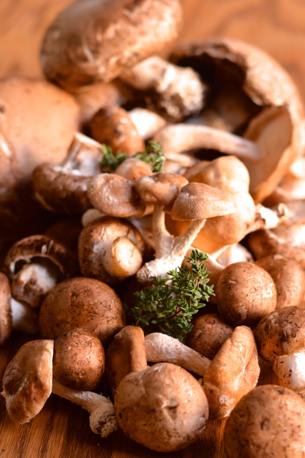 a healthier cream of mushroom soup | Brooklyn Homemaker