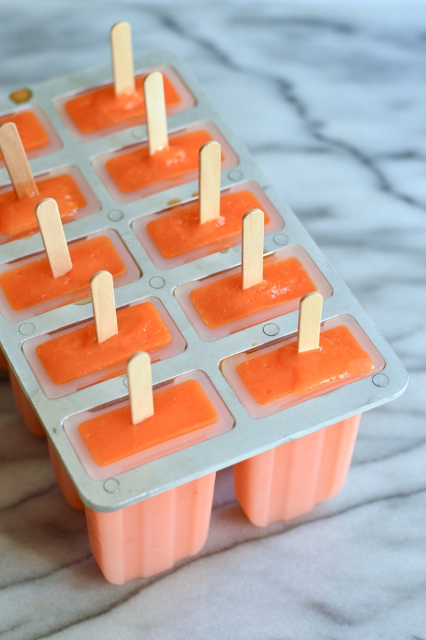 orange carrot ice pops | Brooklyn Homemaker