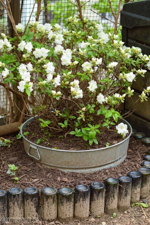 urban outdoor space | Brooklyn Homemaker