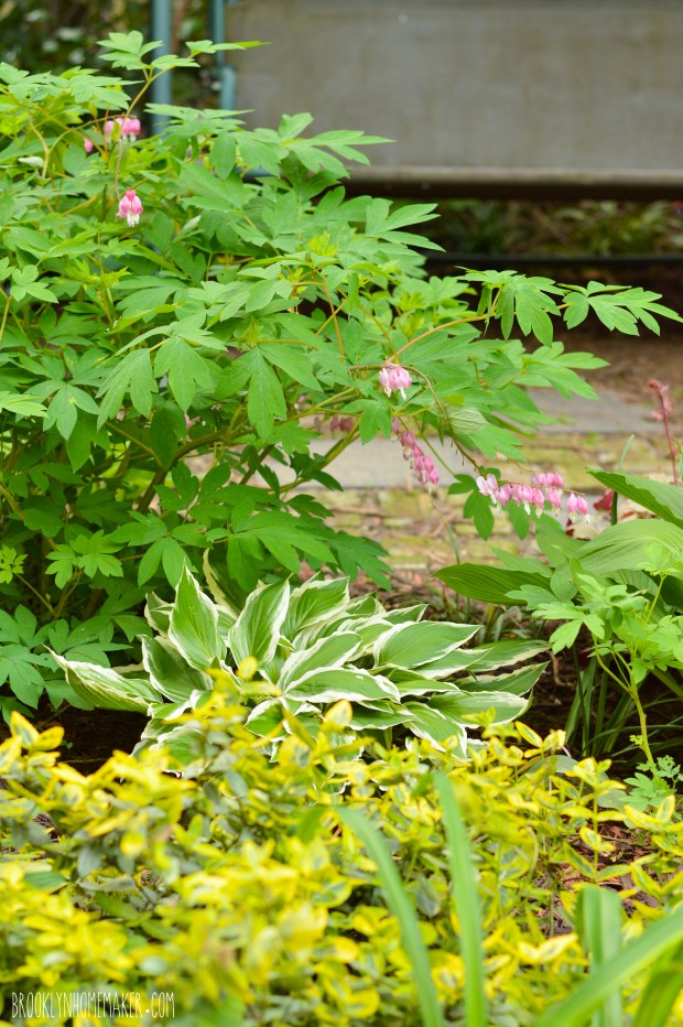 urban outdoor space | Brooklyn Homemaker