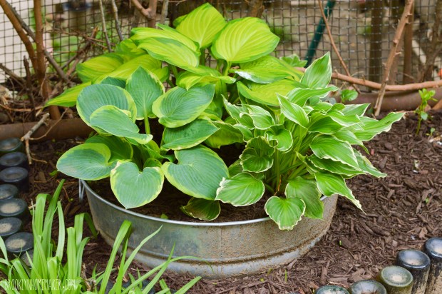 urban outdoor space | Brooklyn Homemaker